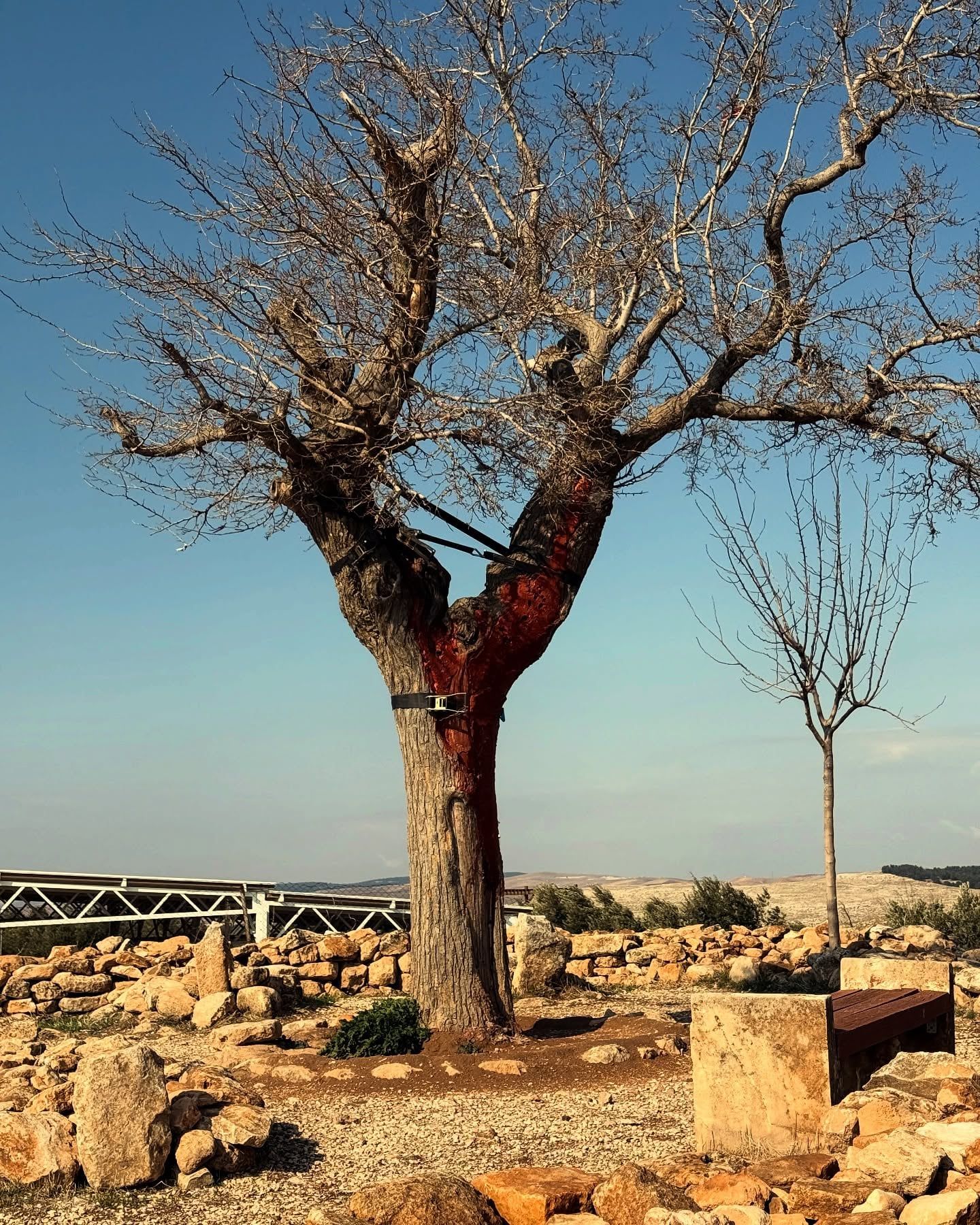Gobekli Tepe view